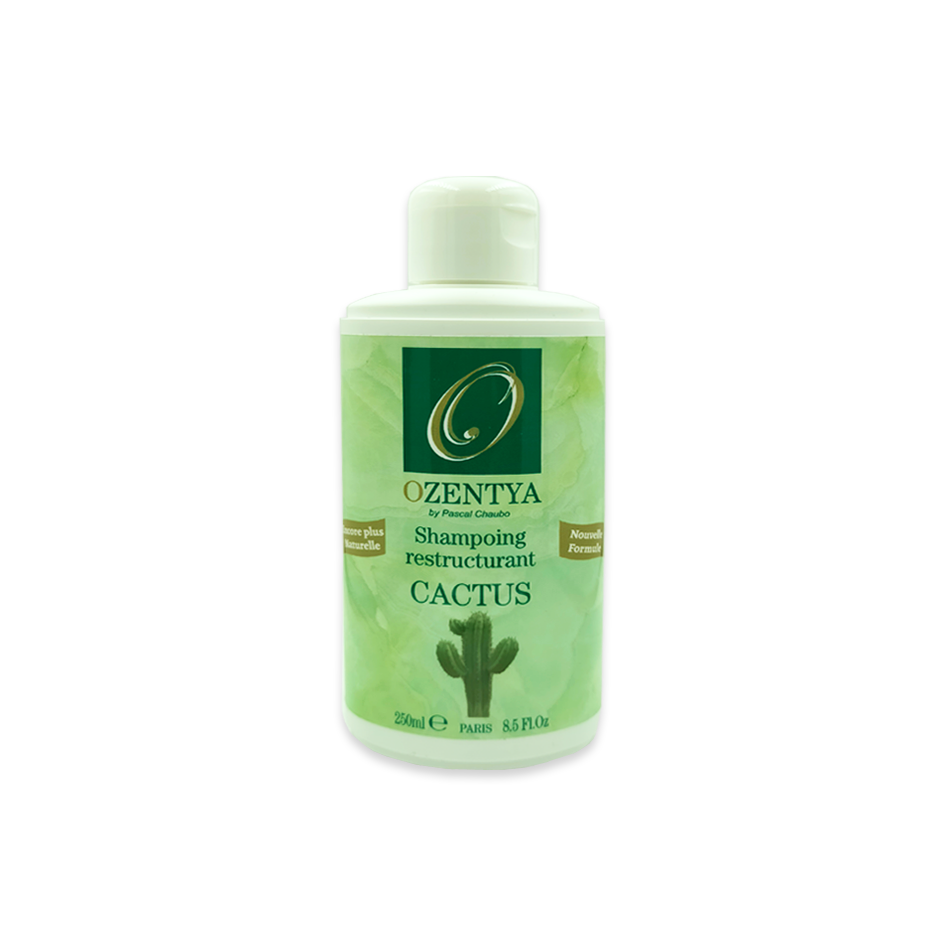 Shampoing cactus anti-chute  Ozentya 250 ml